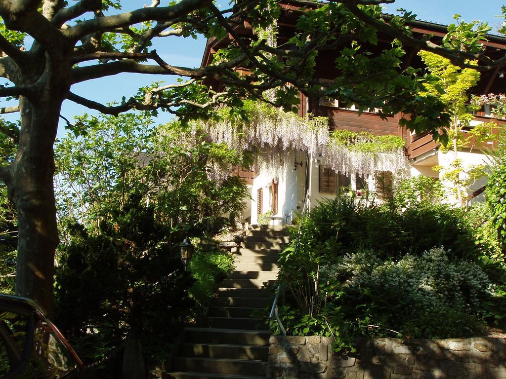 Ferienwohnung Selinda Niederried bei Interlaken Екстериор снимка